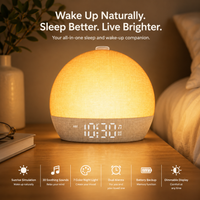 Sunrise Alarm Clock with 30 Soothing Sounds